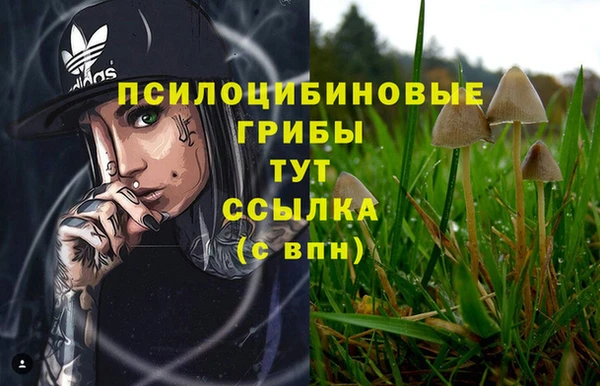 ECSTASY Новодвинск