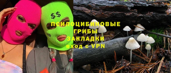 apvp Новозыбков