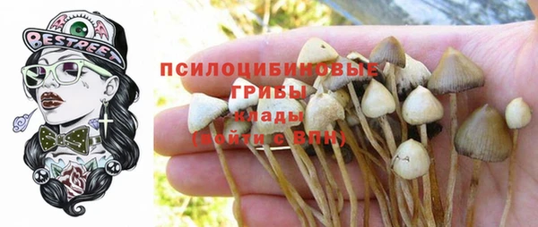 apvp Новозыбков