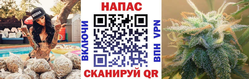 купить закладку  мега как зайти  Бошки Шишки индика  Снежинск 